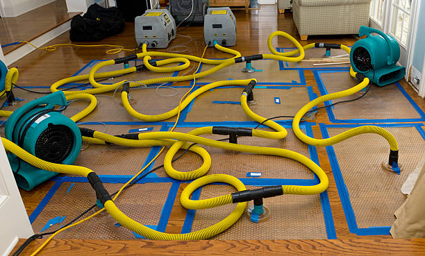 Professional Flood Damage Restoration technician working in Forks, WA